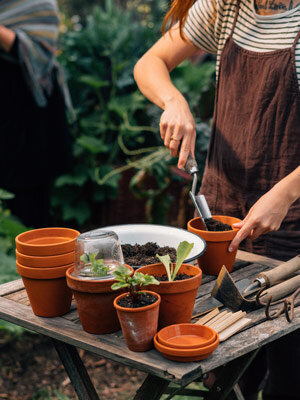 Semis en intérieur pour le jardin