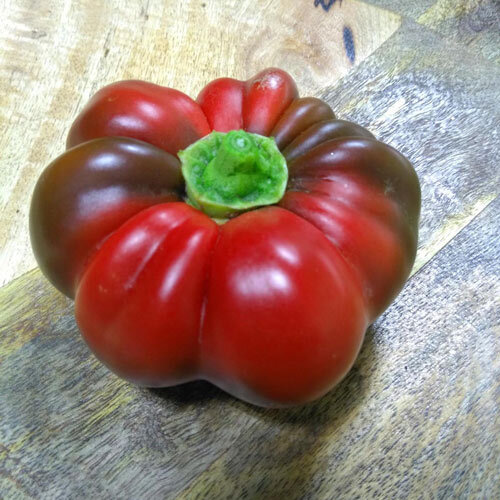 Poivron tomate rouge, aplati et côtelé, sur une planche en bois