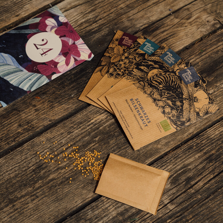 Sachets de graines du calendrier de l'Avent, dont la jusquiame noire, avec graines éparpillées sur du bois