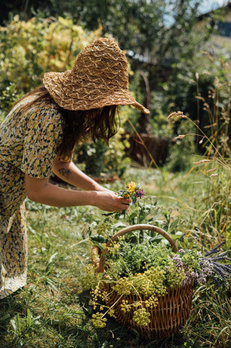 Femme au chapeau de paille cueillant herbes et fleurs sauvages dans un panier en osier