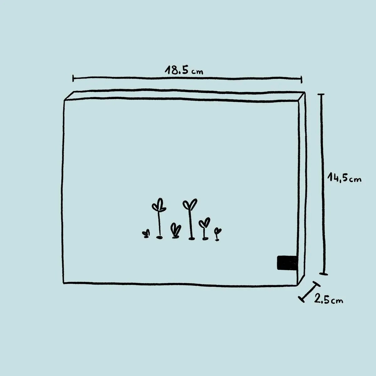 Alraune Arten - Samen-Geschenkset