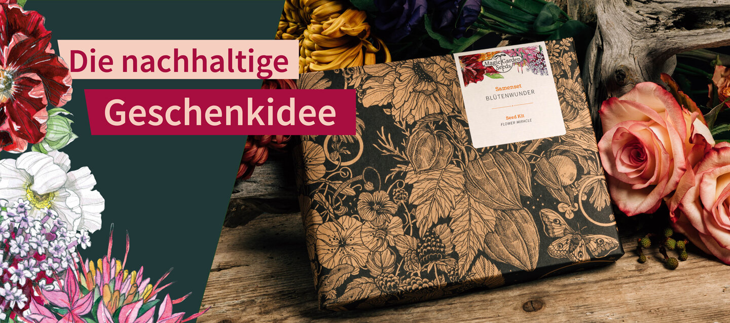 Saatgut-Geschenksets von Magic Garden Seeds - die...