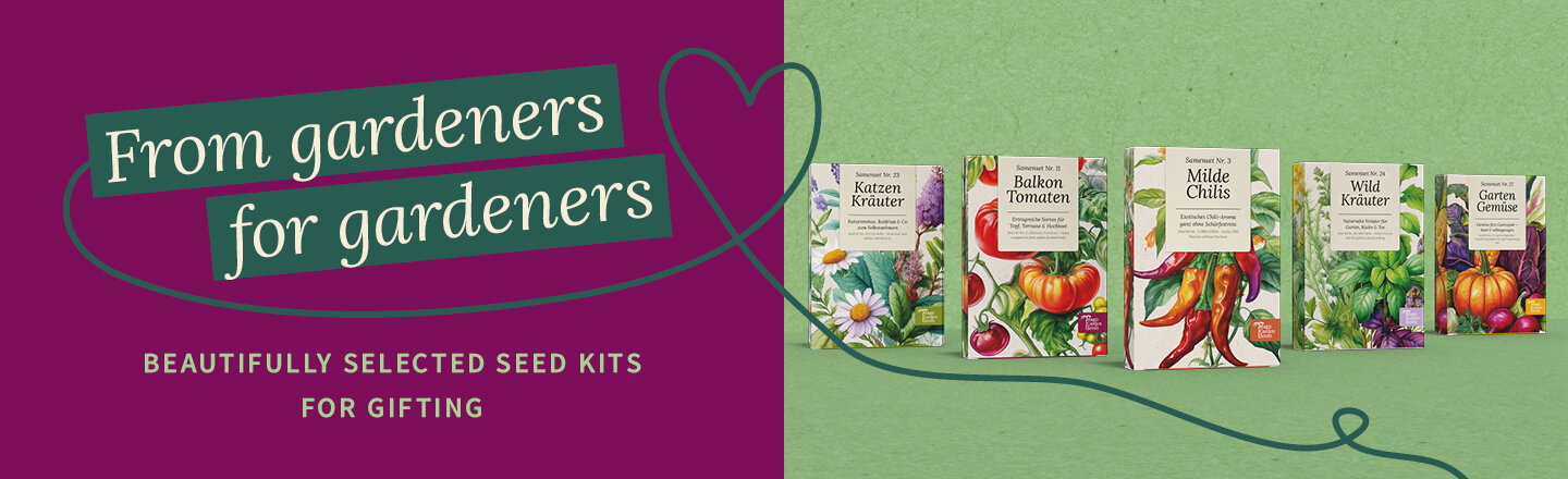 Bannière promotionnelle pour nos nouveaux kits de semences