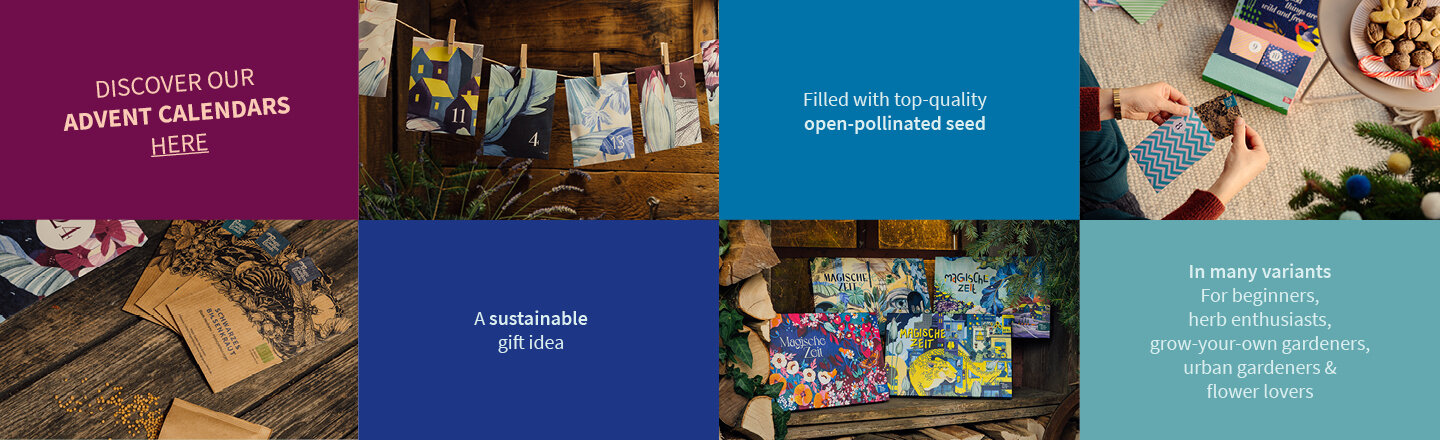 Bannière publicitaire pour les calendriers de l’Avent avec graines de Magic Garden Seeds