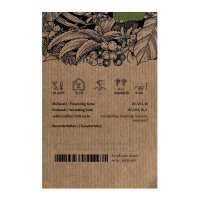 Tabac de jardin (Nicotiana rustica) bio semences