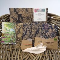 Plantes à encens des Celtes – Coffret cadeau de graines