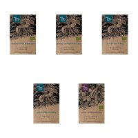 Plantes à encens des Celtes – Coffret cadeau de graines