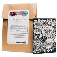 Lots de cartes de voeux - Magic Garden Seeds Highlights -...