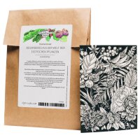 Coffret de cartes de voeux - Magic Garden Seeds...