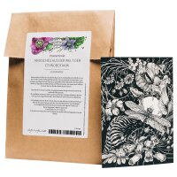 Lot de cartes de voeux - Magic Garden Seeds Highlights -...