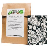 Coffret de cartes de voeux - Magic Garden Seeds...