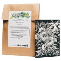 Coffret de cartes de voeux - Magic Garden Seeds...