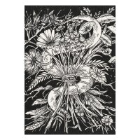 Coffret de cartes de voeux - Magic Garden Seeds Highlights - 10 cartes postales avec le thème : Les vertus curatives du monde des plantes médicinales