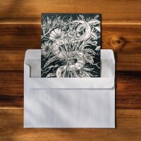 Coffret de cartes de voeux - Magic Garden Seeds Highlights - 10 cartes postales avec le thème : Les vertus curatives du monde des plantes médicinales