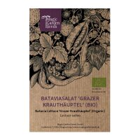 Laitue batavia Grazer Krauthäuptel (Lactuca sativa) bio semences