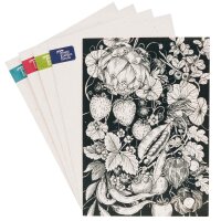 Coffret de cartes de voeux - Magic Garden Seeds Highlights - 6 cartes postales avec nos 6 plus beaux motifs dessinés à la main et enveloppes assorties