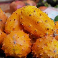 Kiwano (Cucumis metuliferus) graines