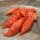 Piment Habanada (Capsicum chinense) graines