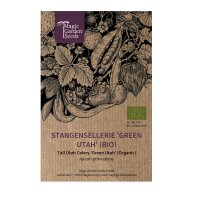 Céleri Green Utah (Apium graveolens) bio semences