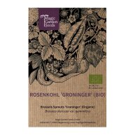 Choux de Bruxelles Groninger (Brassica oleracea var. gemmifera) semences