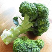 Brocoli Calabrese (Brassica oleracea) bio semences