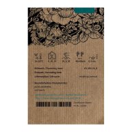 Cosmos rose  Pink (Cosmos bipinnatus) graines