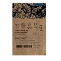 Mandragore de Turkménistan (Mandragora turcomanica)