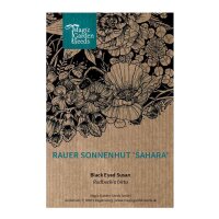 Rudbeckia hérissé Sahara (Rudbeckia hirta) graines