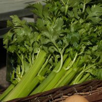 Légumes « lapins » pour les hommes & animaux de compagnie (Bio) – Kit de graines