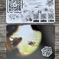 Flower Snack Pack - BEE STEEZ (Organic)