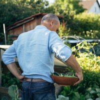 Potager coloré pour les autoconsommateurs - coffret de reproduction de graines bio pour tous les jardiniers*