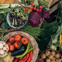 Potager coloré pour les autoconsommateurs - coffret de reproduction de graines bio pour tous les jardiniers*