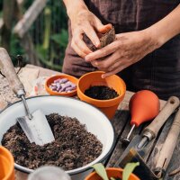 Nos plantes préférées: Herbes & fleurs comestibles pour les jardiniers urbains* (bio) - Coffret cadeau de graines