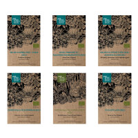 Nos plantes préférées : Fleurs...