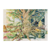 Nos plantes préférées : Fleurs sauvages pour les amateurs de fleurs (Bio) – Kit de graines