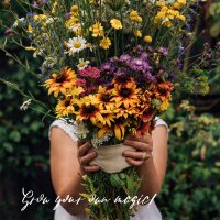 Nos plantes préférées : Fleurs sauvages pour les amateurs de fleurs (Bio) – Kit de graines