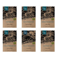 Nos plantes préférées : Plantes...