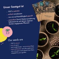 Graines dherbes médicinales - 12 variétés dherbes médicinales- traditionnelles & bienfaisantes - kit de semences pour débutants