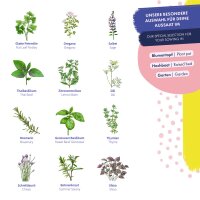 Graines dherbes aromatiques - 12 variétés dherbes de cuisine  - épicées & délicieuses – kit de semences pour glaces