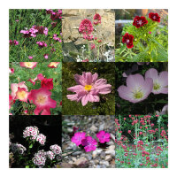Un jardin de couleur rose - Coffret cadeau de graines
