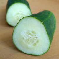 Concombre Marketmore (Cucumis sativus)  graines