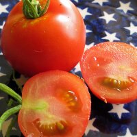 Tomate Hellfrucht (Solanum lycopersicum) graines