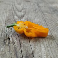 Piment doux "Trinidad Perfume" (Capsicum chinense) graines