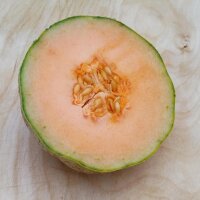 Melon cantaloup charentais (Cucumis melo) graines