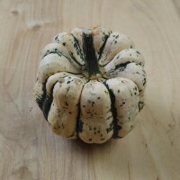 Courge patidou Sweet Dumpling (Cucurbita pepo) graines