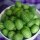 Cucamelon / mini pastèque (Melothria scabra) graines