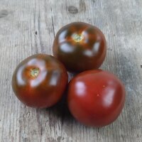 Tomate noire Black Russian (Solanum lycopersicum)