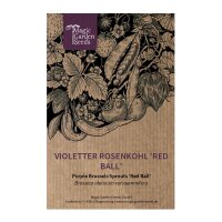 Chou de bruxelles violet Red Ball  (Brassica oleracea var.gemmifera) graines