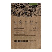 Tabac sauvage, tabac de montagne (Nicotiana sylvestris) graines