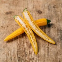 Piment Golden Cayenne (Capsicum annuum) graines